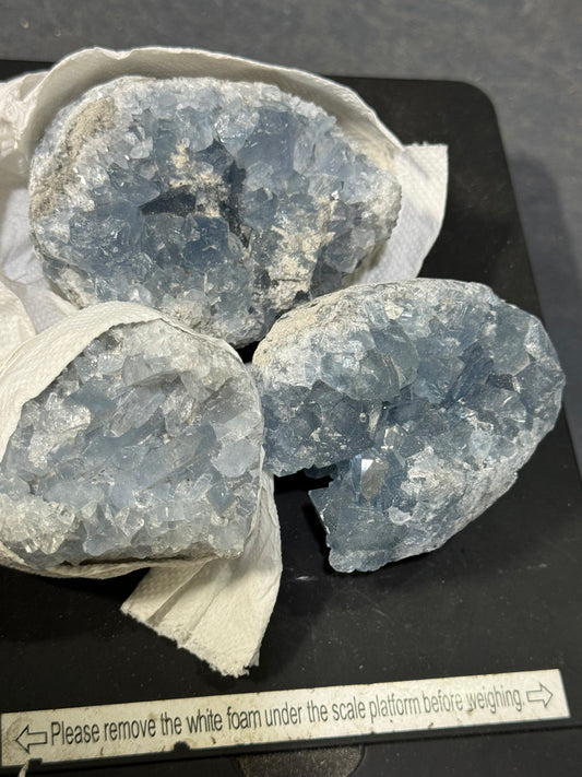 Celestite Clusters