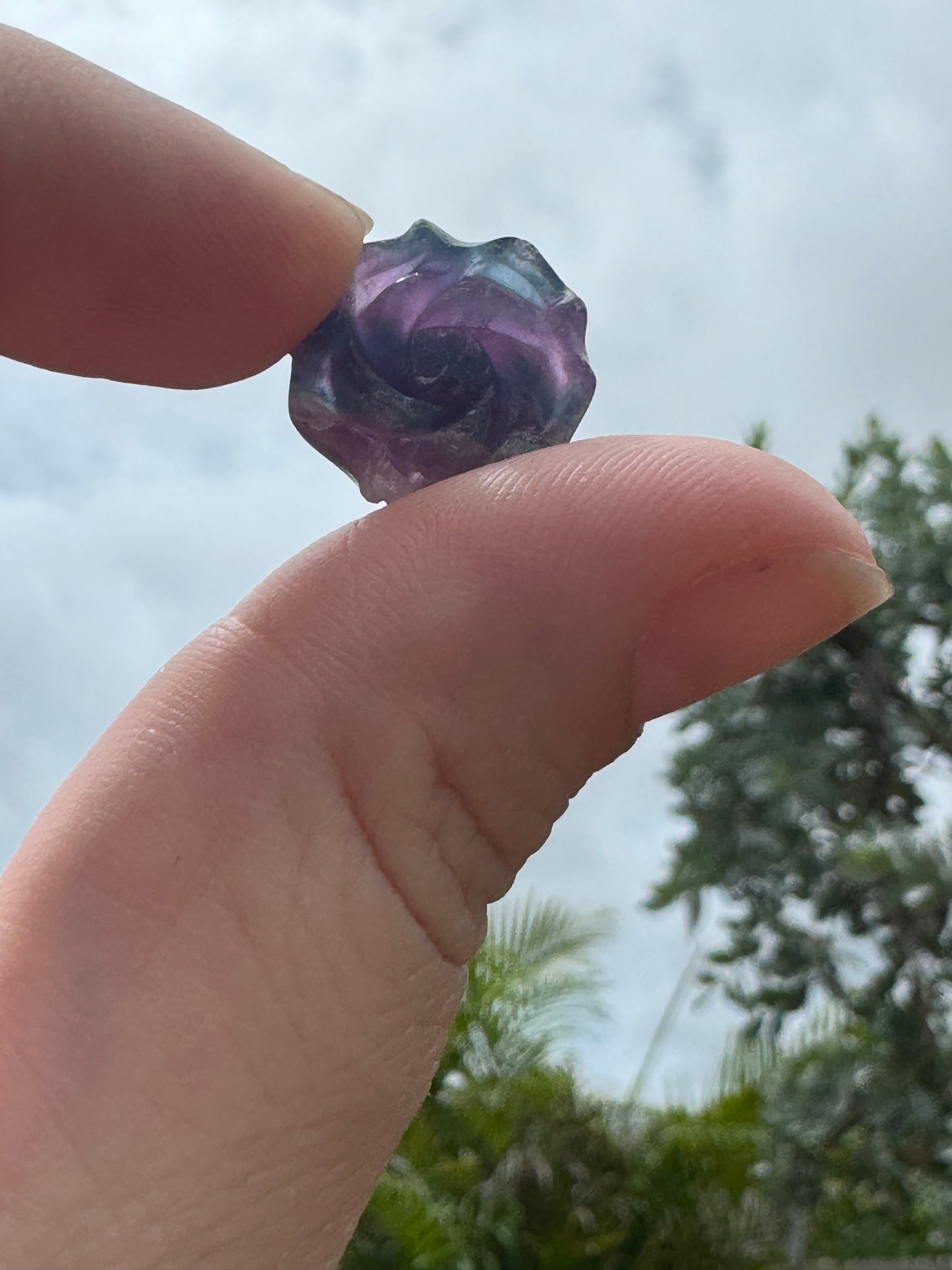 Fluorite Rose Pendants (pre-drilled)