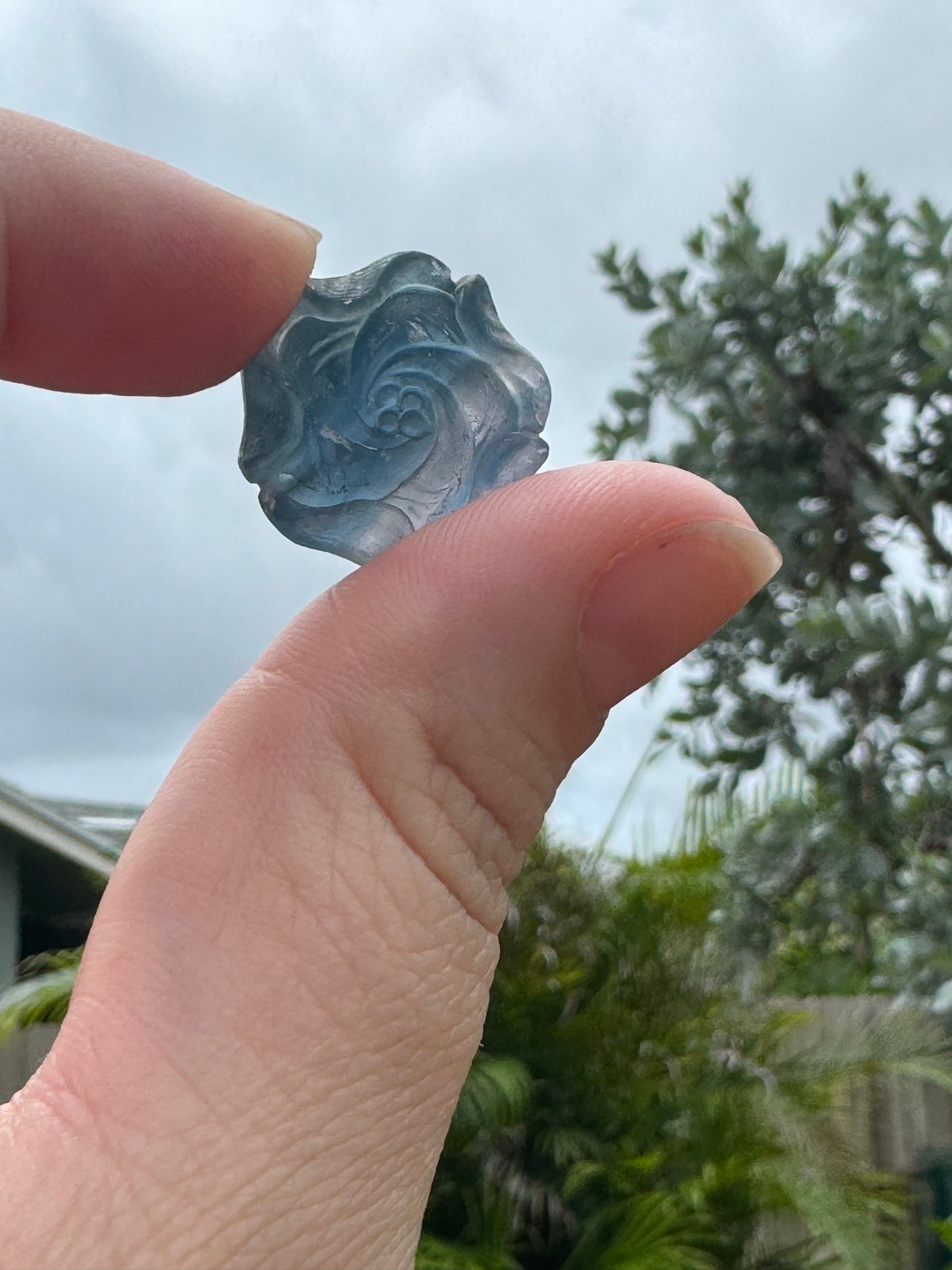 Fluorite Rose Pendants (pre-drilled)