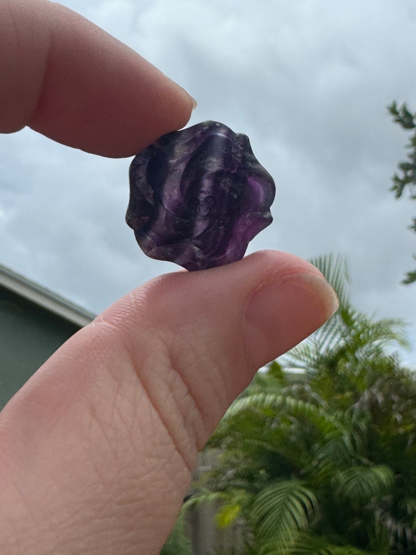 Fluorite Rose Pendants (pre-drilled)