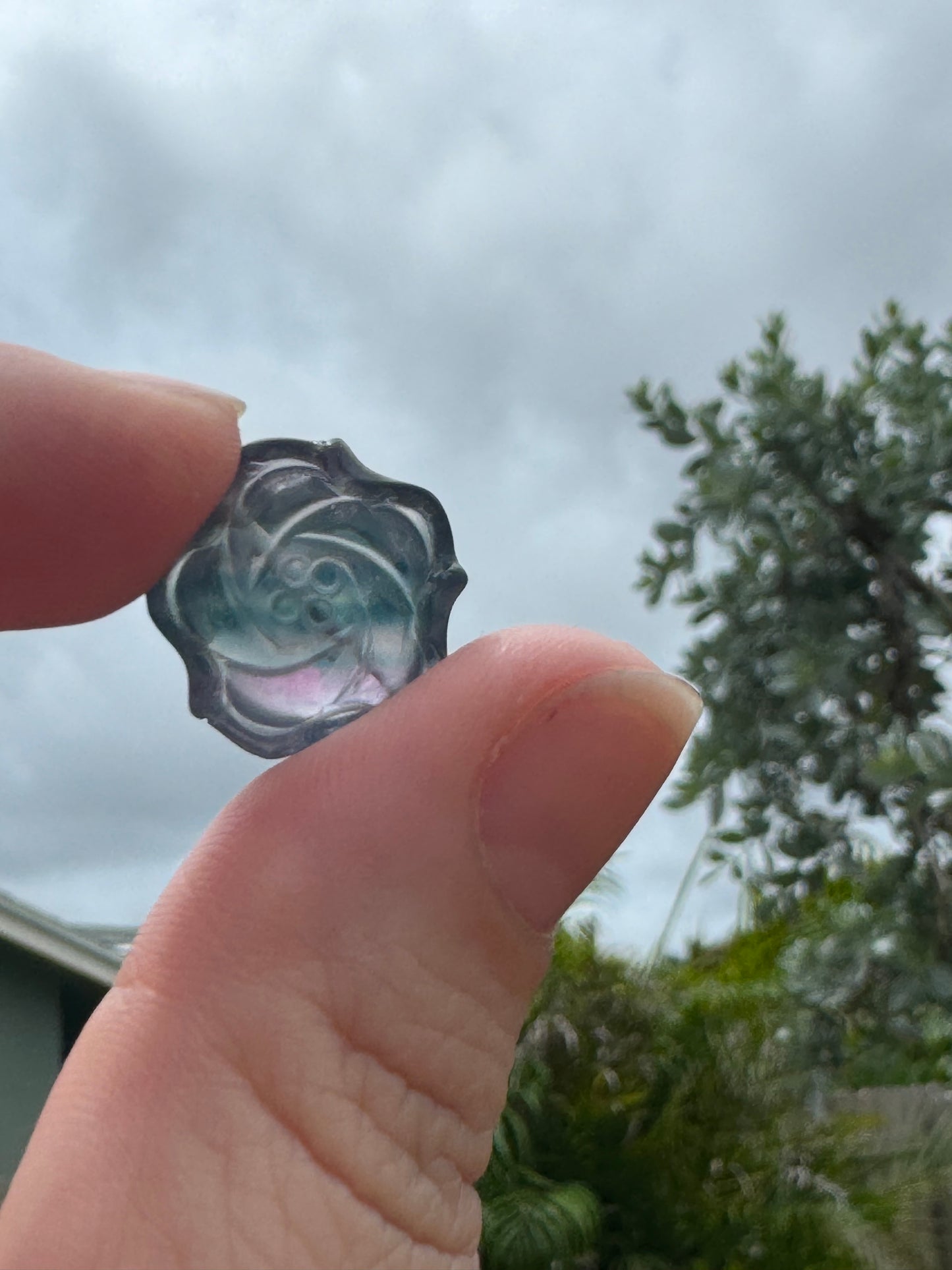 Fluorite Rose Pendants (pre-drilled)