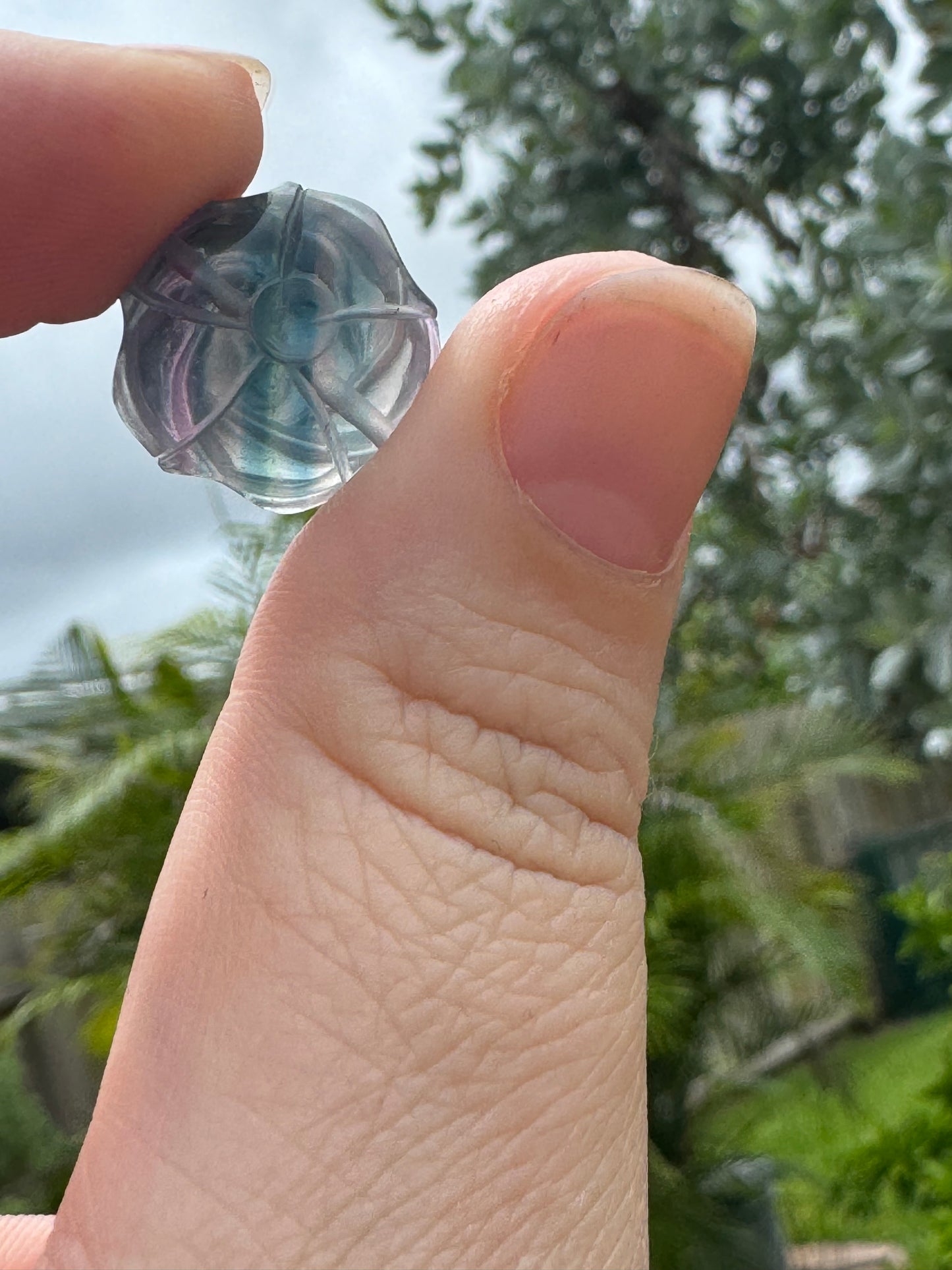 Fluorite Rose Pendants (pre-drilled)