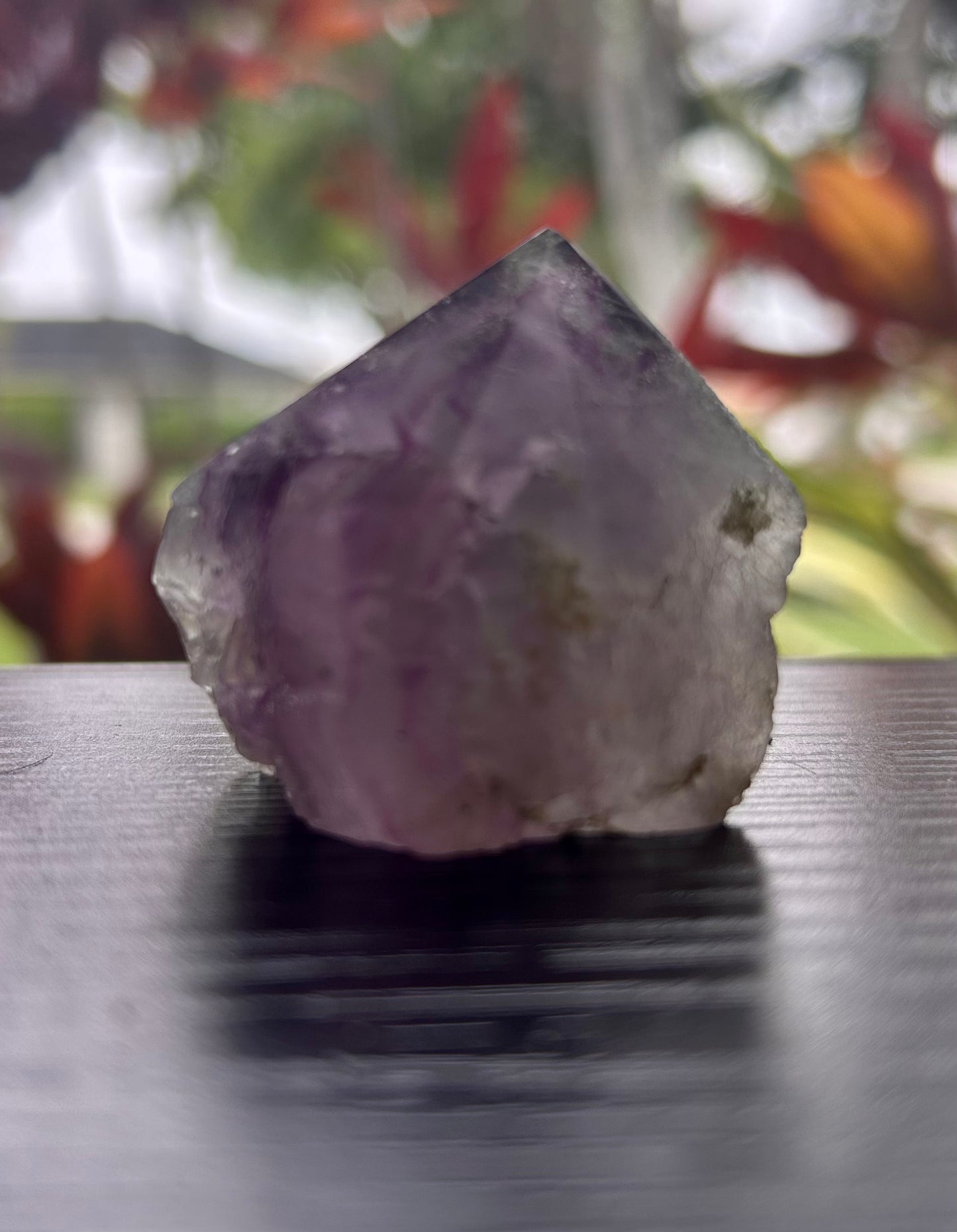 Fluorite Semi-Polished Points