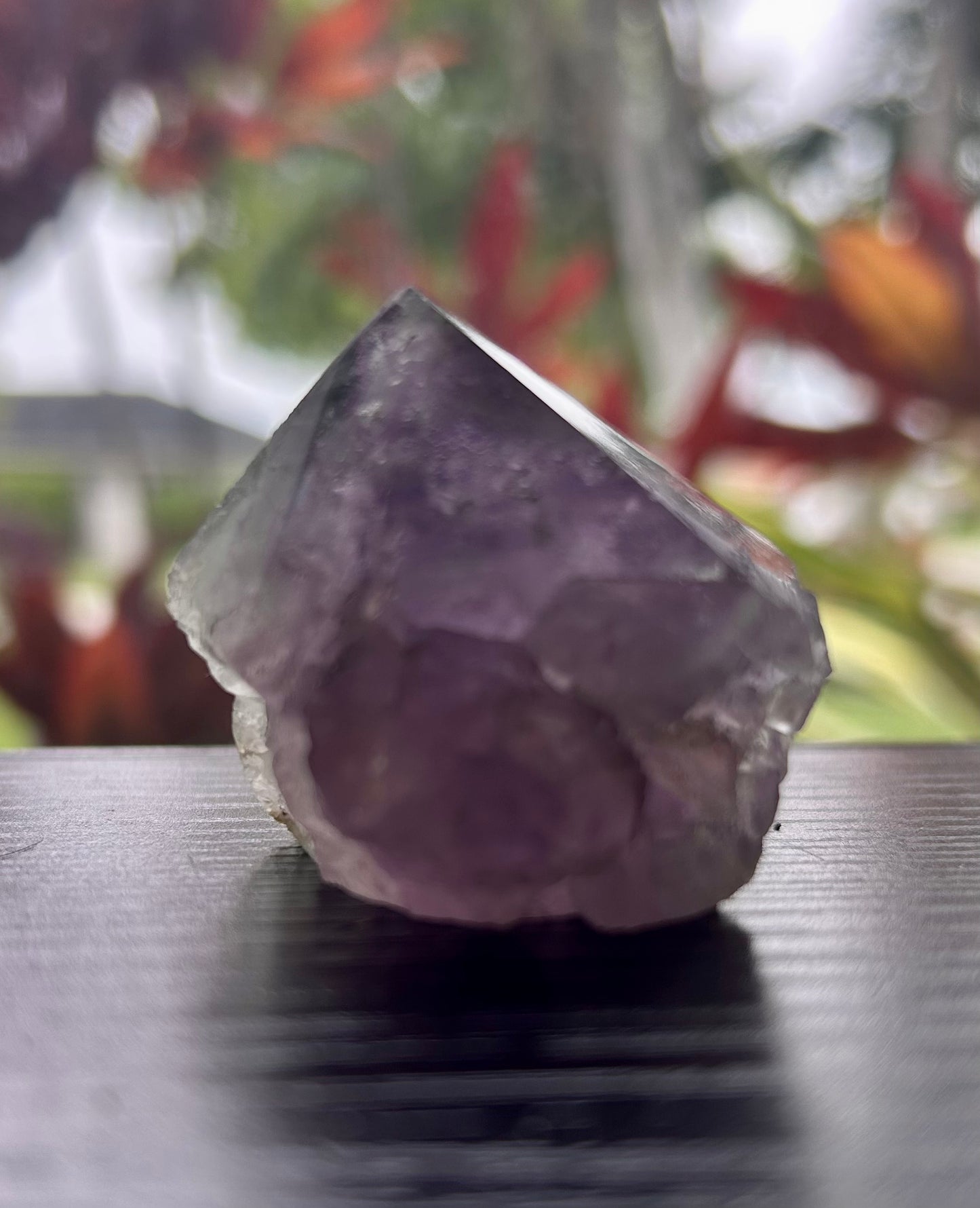 Fluorite Semi-Polished Points