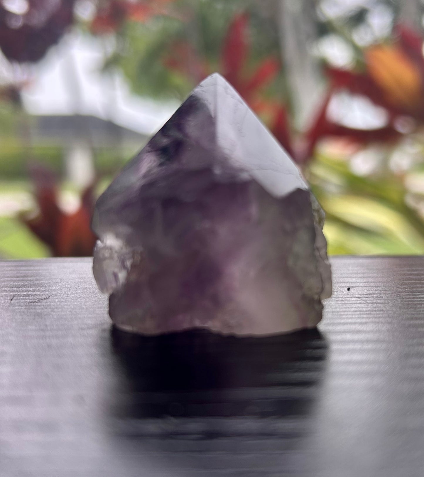 Fluorite Semi-Polished Points