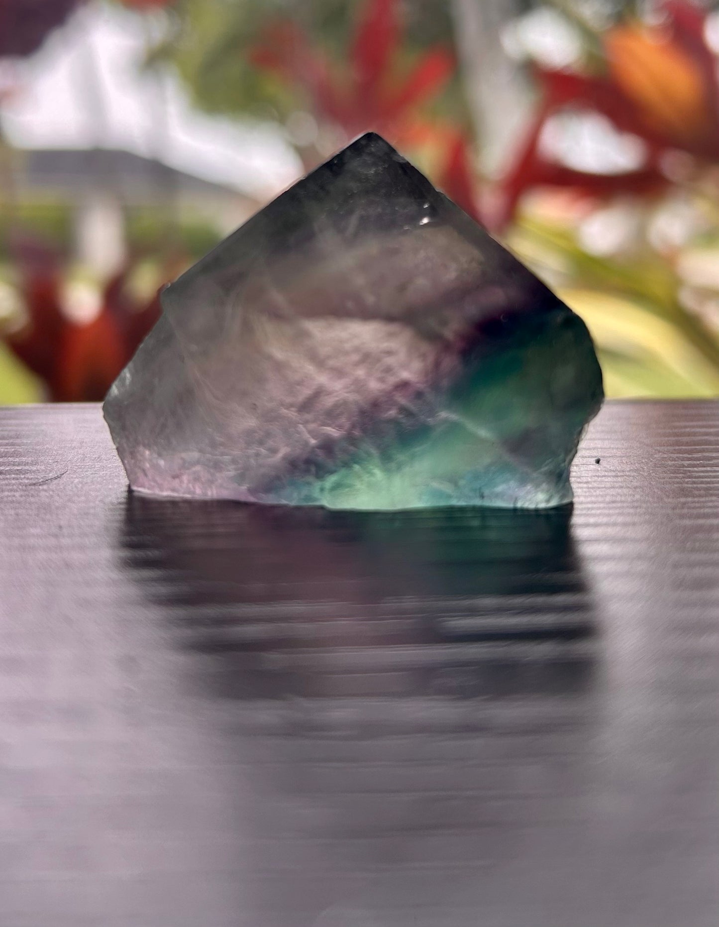 Fluorite Semi-Polished Points