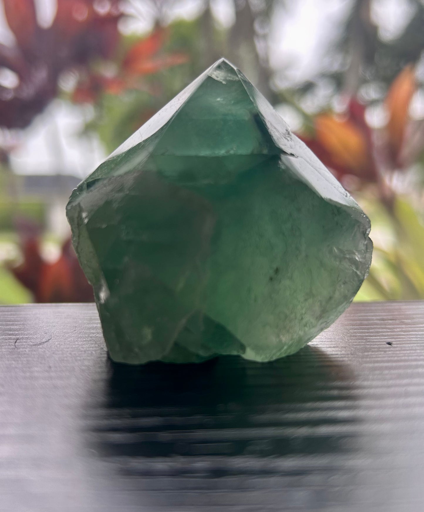 Fluorite Semi-Polished Points