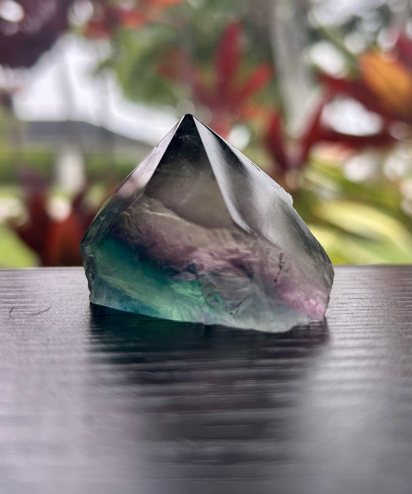 Fluorite Semi-Polished Points