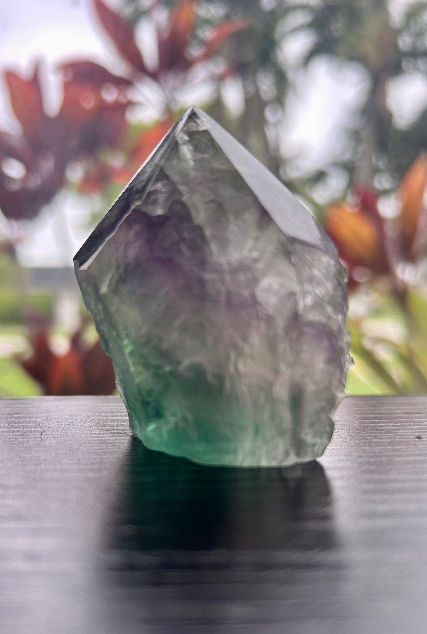 Fluorite Semi-Polished Points